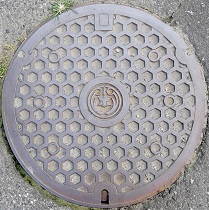 ���{�s�}���z�[��