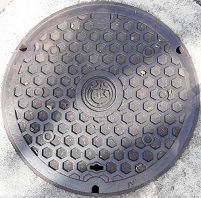 ���{�s�}���z�[��