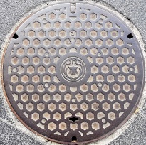 ���{�s�}���z�[��