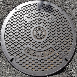 ���{�s�����a