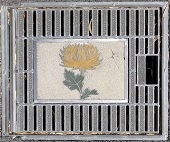 ��{���s���a�W