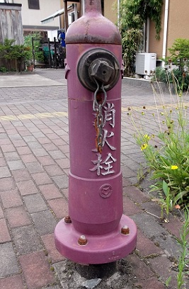 ���g�����̏��ΐ�