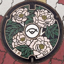 �{���s�}���z�[��