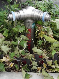 �{���s������