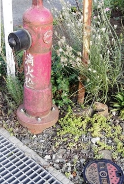 ���s���̏��ΐ�