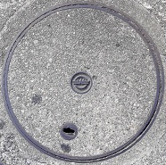 �a���s�}���z�[��