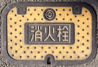 �a���s���ΐ�