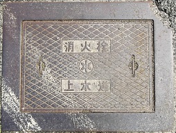 �F�R�����ΐ�