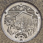 �T�R�s�}���z�[��