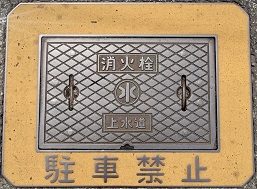 �a�C�����ΐ�