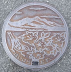 �Y�����}���z�[��