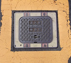 �Y�������ΐ�