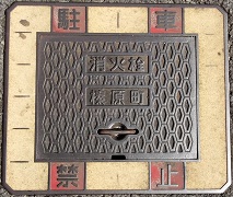 �Y�������ΐ�