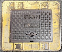 �Y�������ΐ�