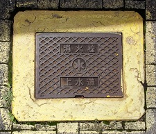 �Y�������ΐ�