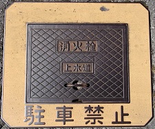 �Y�������ΐ�