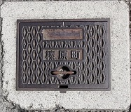 �Y�������ΐ�