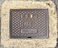 �Y�������ΐ�