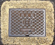 �Y�������ΐ�