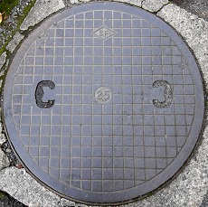 ���{�s�}���z�[��