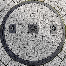 ���Ɍ������a