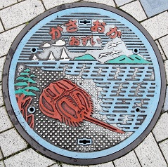 �}���s�}���z�[��