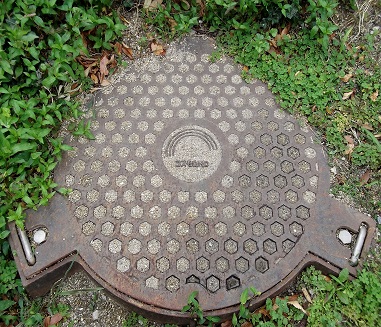 �R�X���c.�g.�b.�}���z�[��