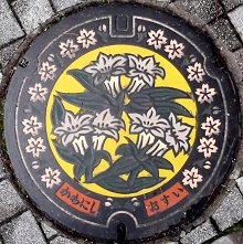 �쐼�s�}���z�[��