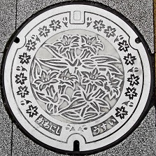 �쐼�s�}���z�[��