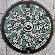 �É��s�}���z�[��