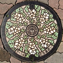 �É��s�}���z�[��