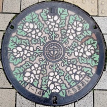 �É��s�}���z�[��