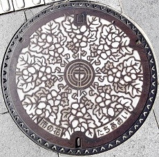 �É��s�}���z�[��