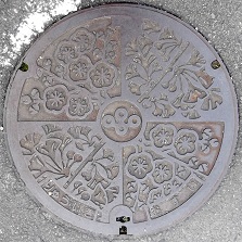 ���{�}���z�[��