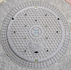 �ɐ��s�}���z�[��