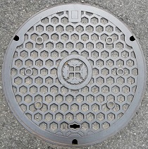 �ɐ��s�}���z�[��