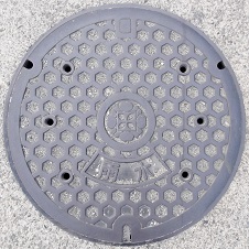 �ɐ��s�}���z�[��