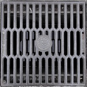 �ɐ��s���a�W