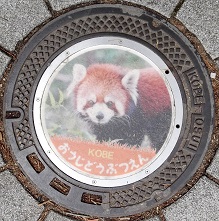 �_�ˎs���q�������}���z�[��