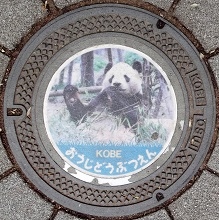 �_�ˎs���q�������}���z�[��