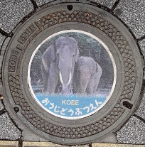 神戸市王子動物園マンホール