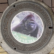 �_�ˎs���q�������}���z�[��