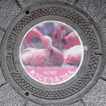 神戸市王子動物園マンホール