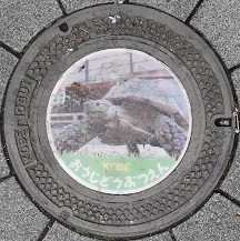 神戸市王子動物園マンホール