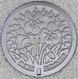 ��ˎs�}���z�[��