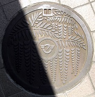 ����s�}���z�[��