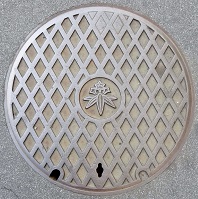 ���q�s�}���z�[��