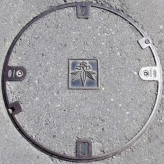 ���q�s�}���z�[��