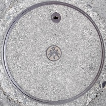 ���q�s�}���z�[��