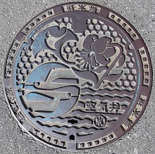 �_�ސ쌧��C��